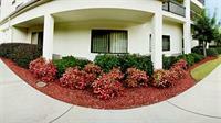 ホテル Courtyard Suwanee By Marriott エクステリア 写真